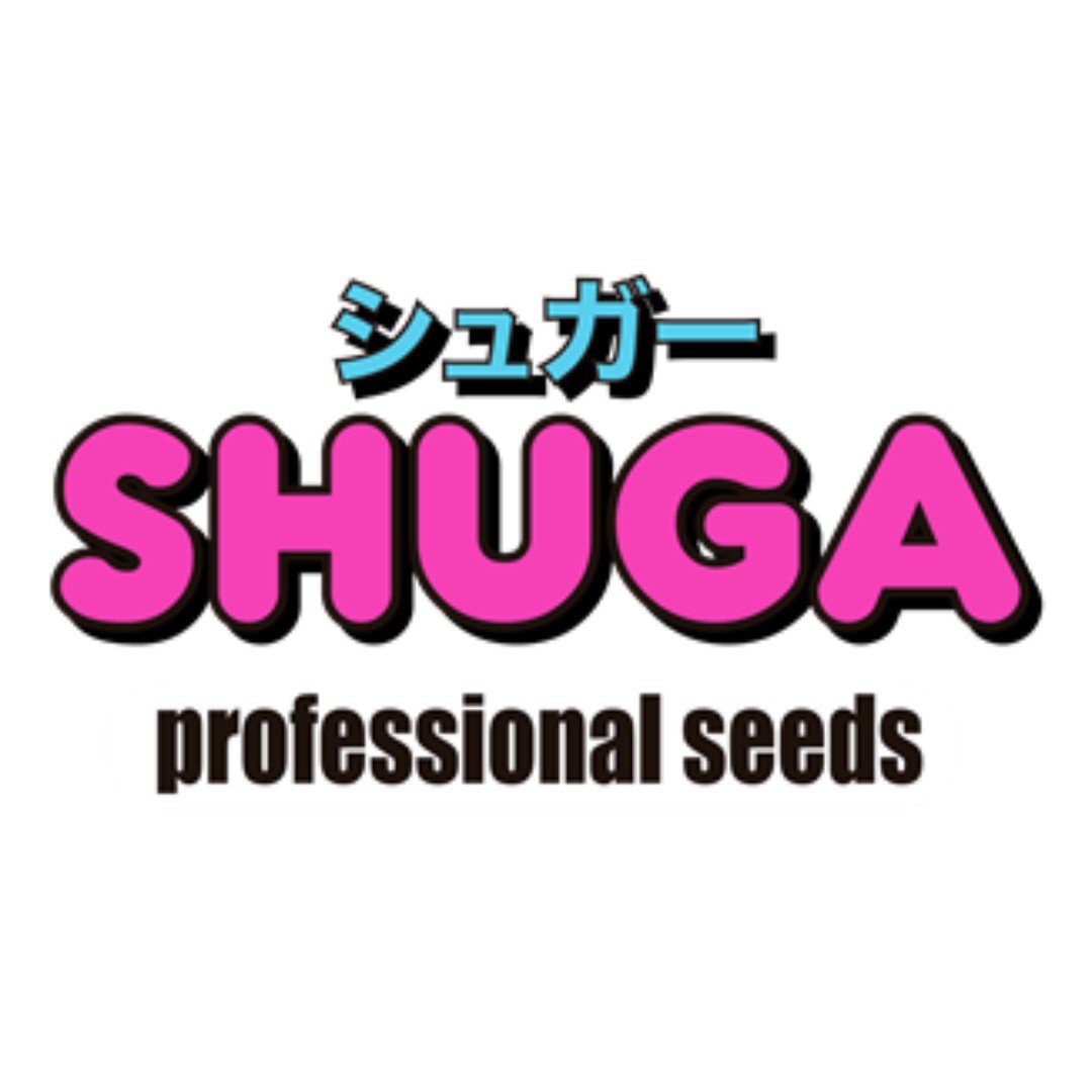 Shuga Seeds